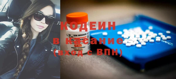 мдпв Каменка