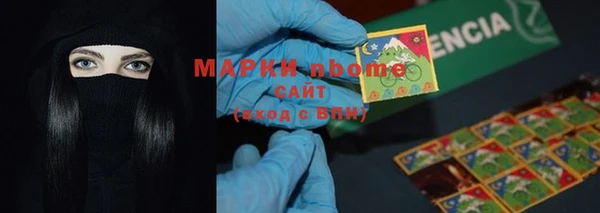 мдпв Каменка