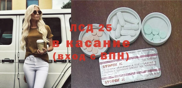 мдпв Каменка