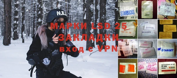 мдпв Каменка