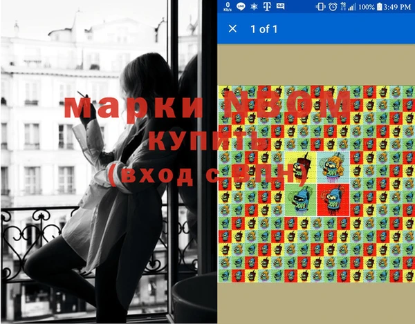 мдпв Каменка