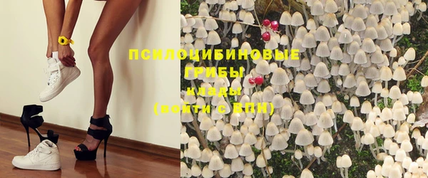 мдпв Каменка
