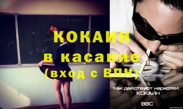 мдпв Каменка